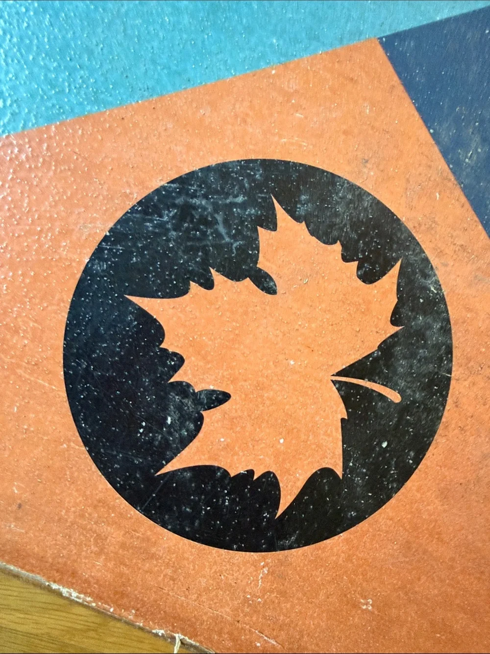 Maple Leaf Skateboard Wall Art - Blue & Coral